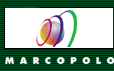 logomarcopolo.gif (2222 byte)